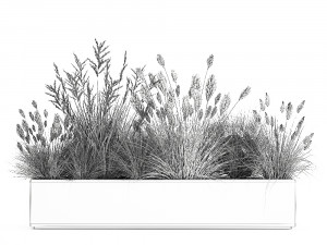 potted reeds for landscaping 1076 3D Модель