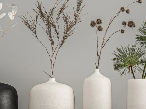collection of bouquets of dried flowers 210 3D Model