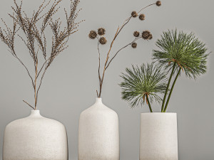 collection of bouquets of dried flowers 210 3D Model