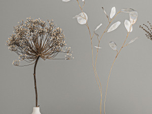 collection of bouquets of dried flowers 210 3D Model