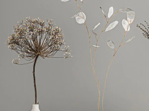 collection of bouquets of dried flowers 210 3D Model