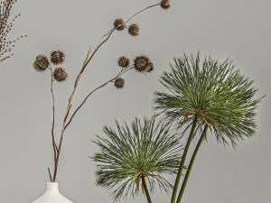 collection of bouquets of dried flowers 210 3D Model