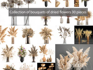 collection de bouquets de fleurs s&eacute;ch&eacute;es 30 pi&egrave;ces Modèle 3D