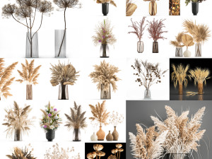 collection of bouquets of dried flowers 30 pieces Model 3D