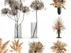 collection of bouquets of dried flowers 30 pieces 3D Model