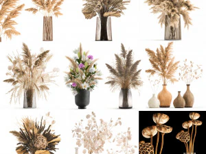 collection of bouquets of dried flowers 30 pieces 3D Model