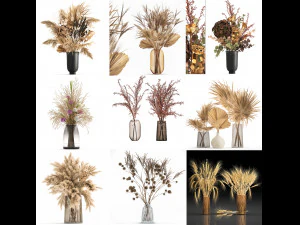 collection of bouquets of dried flowers 30 pieces 3D Model