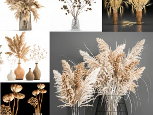 collection of bouquets of dried flowers 30 pieces 3D Model