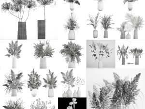 collection of bouquets of dried flowers 30 pieces Model 3D