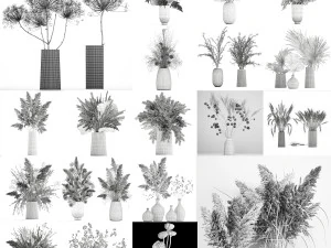 collection of bouquets of dried flowers 30 pieces 3D Model