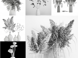 collection of bouquets of dried flowers 30 pieces Model 3D