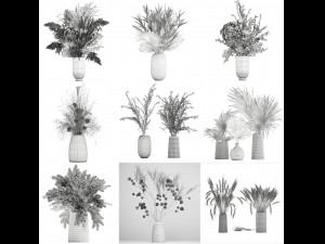 collection of bouquets of dried flowers 30 pieces Model 3D