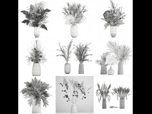 collection of bouquets of dried flowers 30 pieces 3D Model