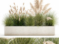 potted reeds for landscaping 1077 3D Models