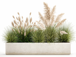 potted reeds for landscaping 1077 3D Model