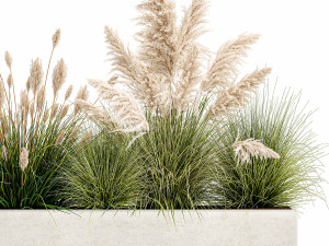 potted reeds for landscaping 1077 3D Model