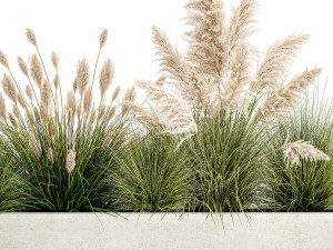potted reeds for landscaping 1077 3D Model