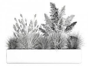 potted reeds for landscaping 1077 3D Model