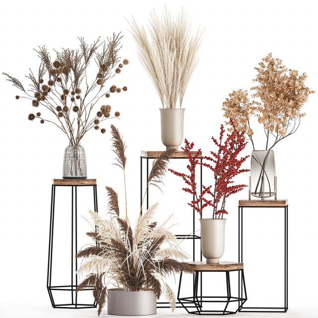 collection of bouquets of dried flowers 212 Model 3D .c4d .max .obj .3ds .fbx .stl .blend 