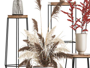 collection of bouquets of dried flowers 212 3D Model