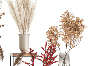 collection of bouquets of dried flowers 212 Model 3D