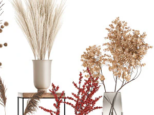 collection of bouquets of dried flowers 212 3D Model