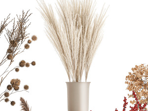 collection of bouquets of dried flowers 212 Model 3D