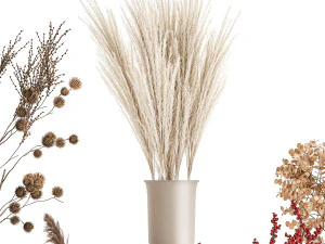 collection of bouquets of dried flowers 212 3D Model