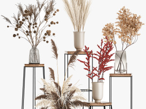 collection of bouquets of dried flowers 212 Model 3D