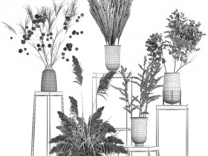 collection of bouquets of dried flowers 212 Model 3D