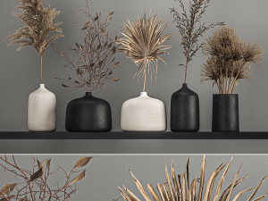 collection of bouquets of dried flowers 211 3D Model