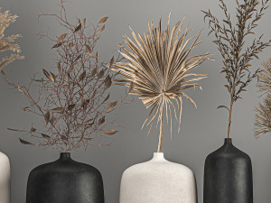collection of bouquets of dried flowers 211 3D Model