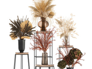collection of bouquets of dried flowers 213 3D Модель