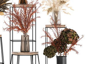 collection of bouquets of dried flowers 213 3Dモデル