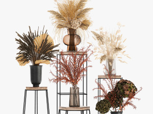 collection of bouquets of dried flowers 213 3Dモデル