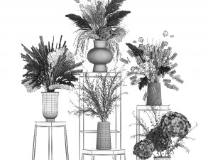 collection of bouquets of dried flowers 213 3Dモデル