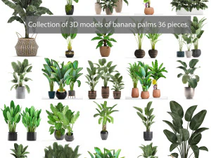 cole&ccedil;&atilde;o de bananeiras 36 pe&ccedil;as Modelo 3D