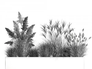 grama dos pampas para paisagismo 1078 Modelo 3D