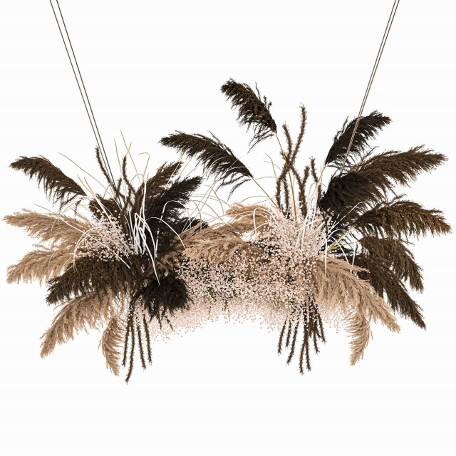 hanging decor of their dried pampas grass 214 Modelo 3D .c4d .max .obj .3ds .fbx .stl .blend