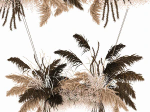 hanging decor of their dried pampas grass 214 3D Model