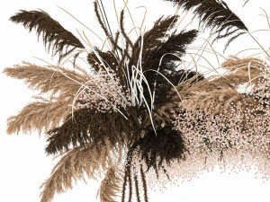 hanging decor of their dried pampas grass 214 3D Model
