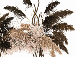 hanging decor of their dried pampas grass 214 Modelo 3D