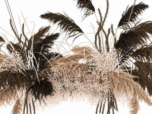 hanging decor of their dried pampas grass 214 3D Model