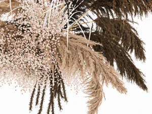 hanging decor of their dried pampas grass 214 3D Model
