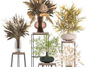 collection of bouquets of dried flowers 216 3D 模型