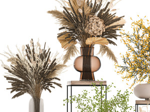 collection of bouquets of dried flowers 216 3D मॉडल