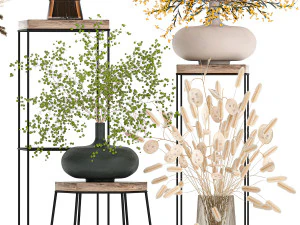 collection of bouquets of dried flowers 216 3D Model