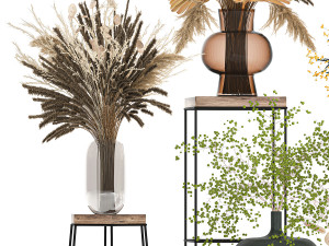 collection of bouquets of dried flowers 216 3D मॉडल