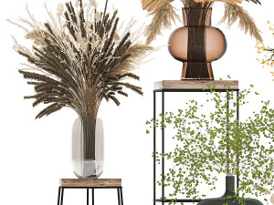 collection of bouquets of dried flowers 216 3D Model