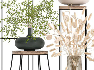 collection of bouquets of dried flowers 216 3D Model